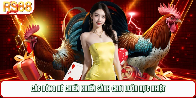 Các dòng kê chiến khiến sảnh chơi luôn rực nhiệt