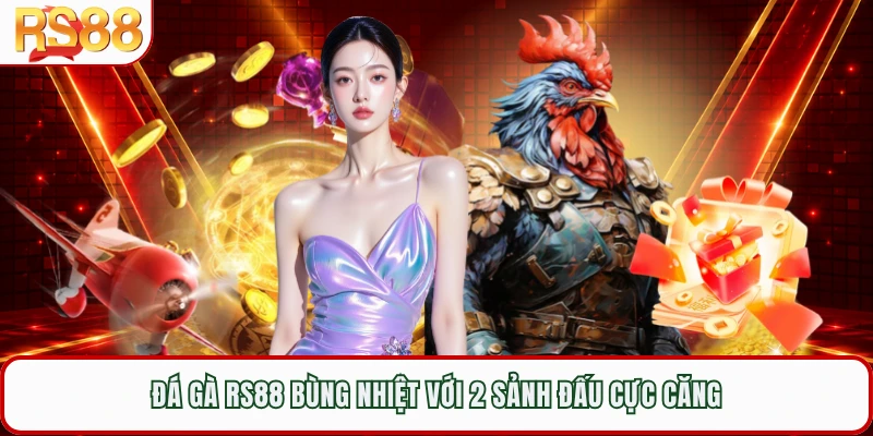 Đá gà RS88 bùng nhiệt với 2 sảnh đấu cực căng